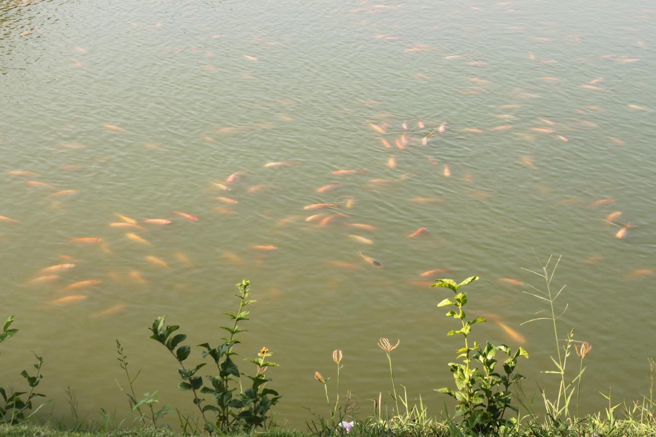 Menam Resort Nakhon Pathom Eksteriør bilde